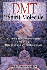 ДМТ — Молекула духа (fb2)