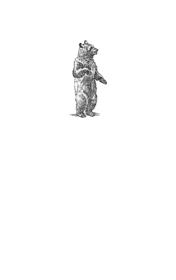 КулЛиб. Джеймс Оливер Кервуд - Приключения полярного медведя. Страница № 3