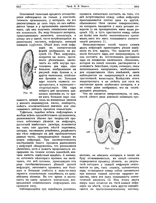 КулЛиб.   журнал Природа - Природа 1912 №05. Страница № 38