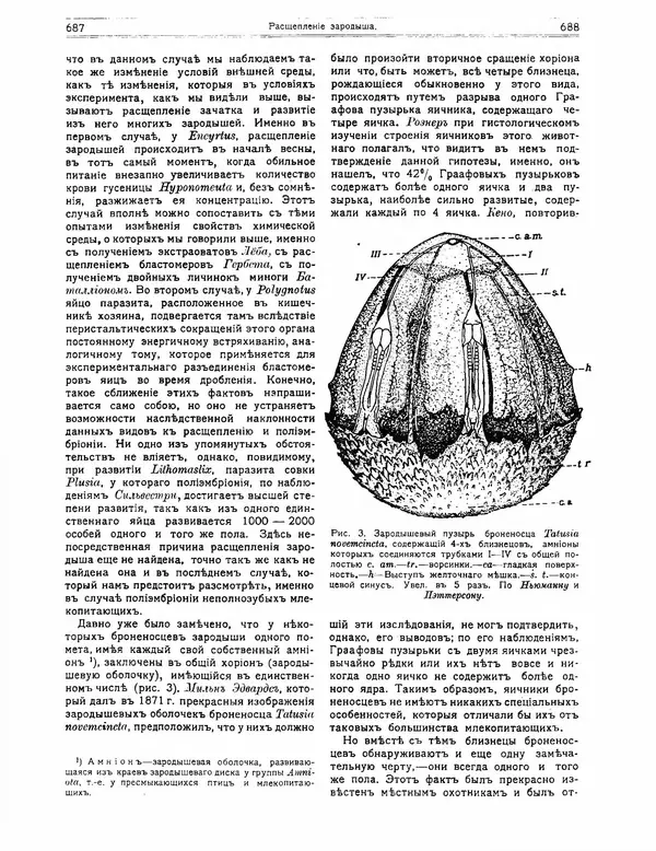 КулЛиб.   журнал Природа - Природа 1912 №05. Страница № 50