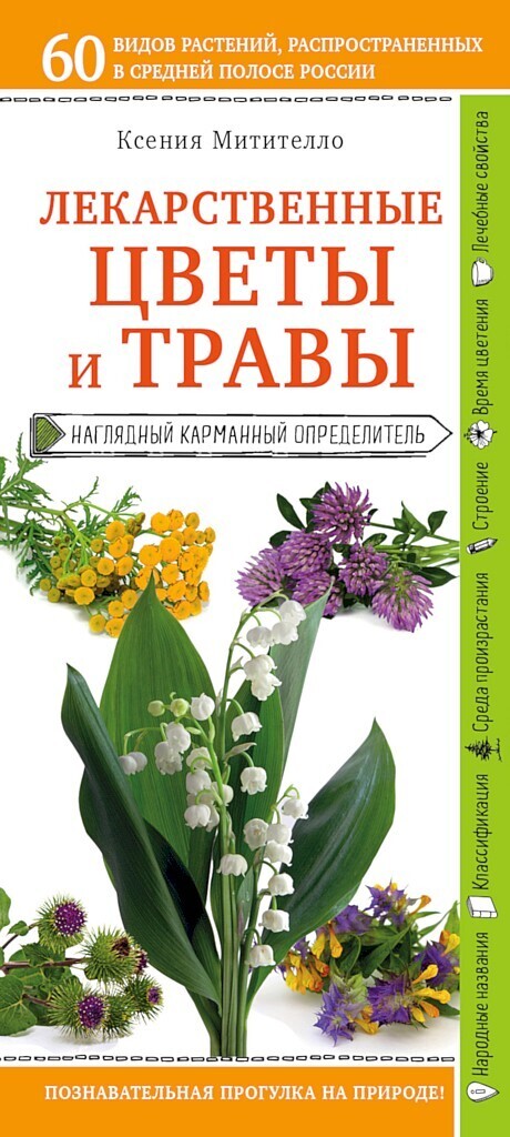 Лекарственные цветы и травы. Наглядный карманный определитель (fb2)