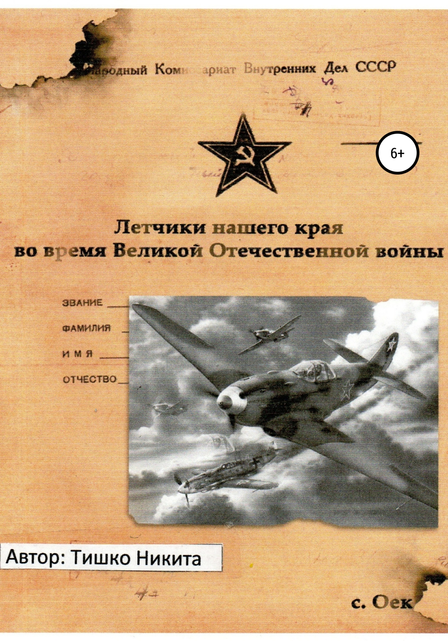 Летчики нашего края во время Великой Отечественной войны (fb2)