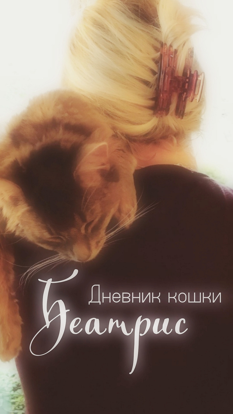Дневник кошки Беатрис (СИ) (fb2)