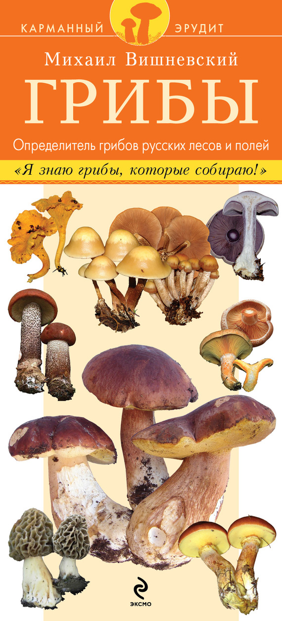 Грибы. Определитель грибов русских лесов и полей (fb2)