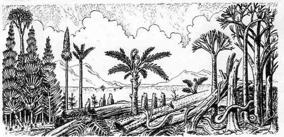 История Земли без Каменноугольного периода. Андрей Скляров. Иллюстрация 5