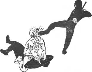 Сокрушительная боевая техника ниндзютсу. Виктор Попенко. Иллюстрация 93