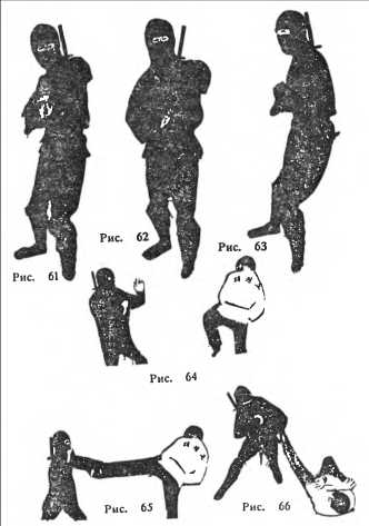 Сокрушительная боевая техника ниндзютсу. Виктор Попенко. Иллюстрация 18