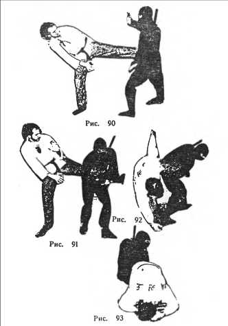 Сокрушительная боевая техника ниндзютсу. Виктор Попенко. Иллюстрация 22