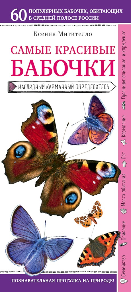 Бабочки. Наглядный карманный определитель (fb2)