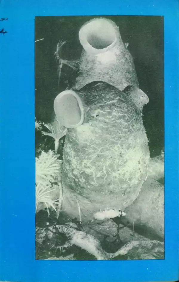 КулЛиб. Сергей Николаевич Рыбаков - Под водой в Антарктике. Страница № 167