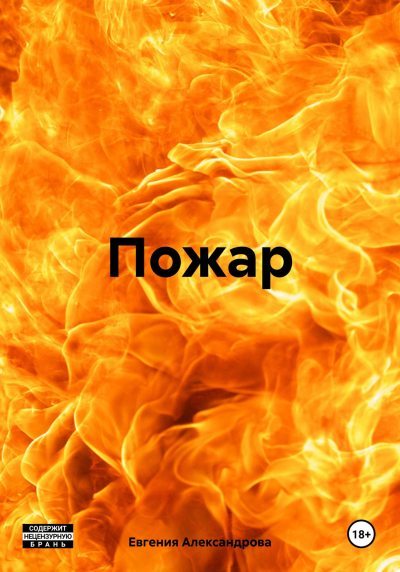 Пожар (fb2)