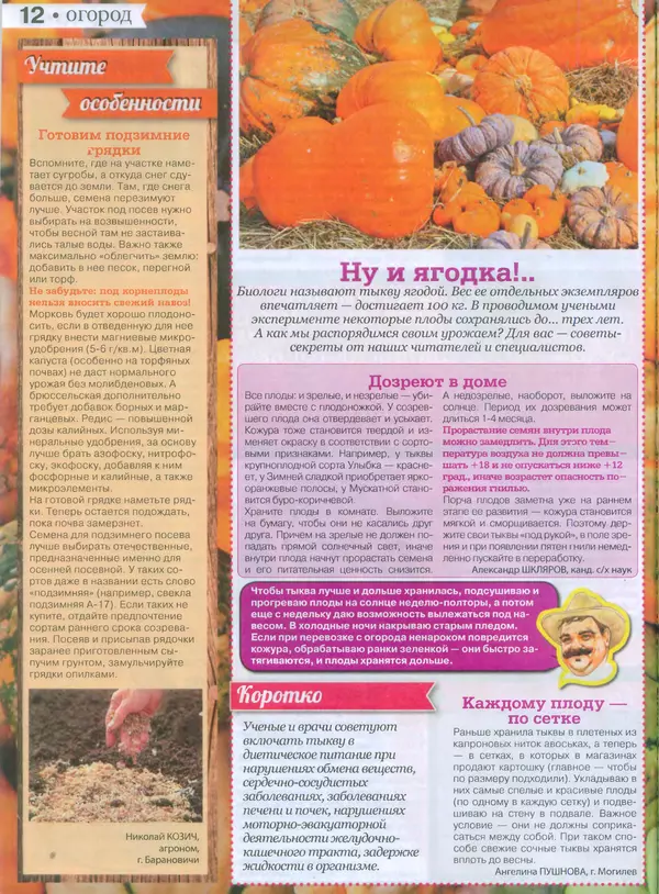 КулЛиб.   журнал Сваты на даче - Сваты на даче 2015 №9(09). Страница № 11