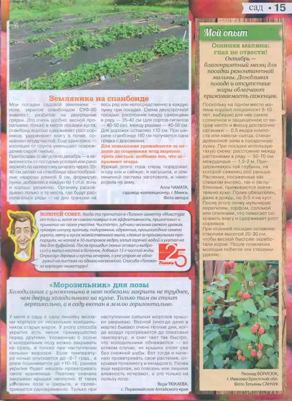 КулЛиб.   журнал Сваты на даче - Сваты на даче 2015 №9(09). Страница № 14