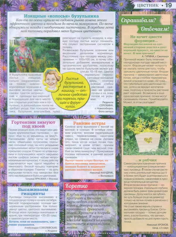 КулЛиб.   журнал Сваты на даче - Сваты на даче 2015 №9(09). Страница № 18
