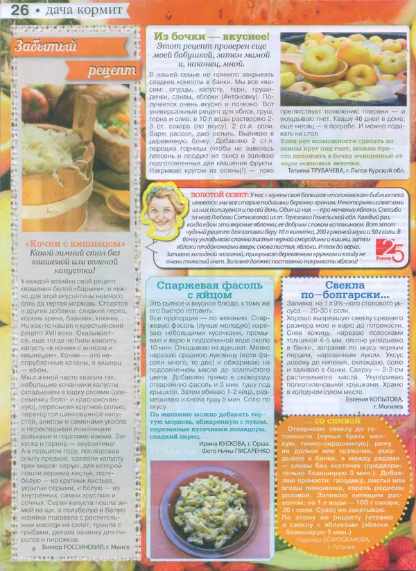 КулЛиб.   журнал Сваты на даче - Сваты на даче 2015 №9(09). Страница № 25