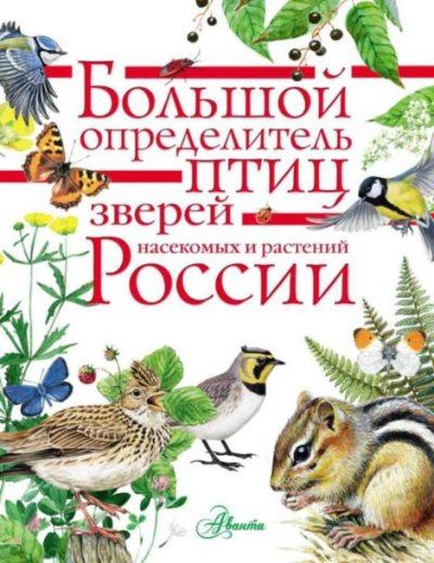 Большой определитель птиц, зверей, насекомых и растений России (pdf)