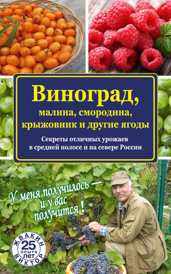 Виноград, малина, смородина, крыжовник и другие ягоды (fb2)