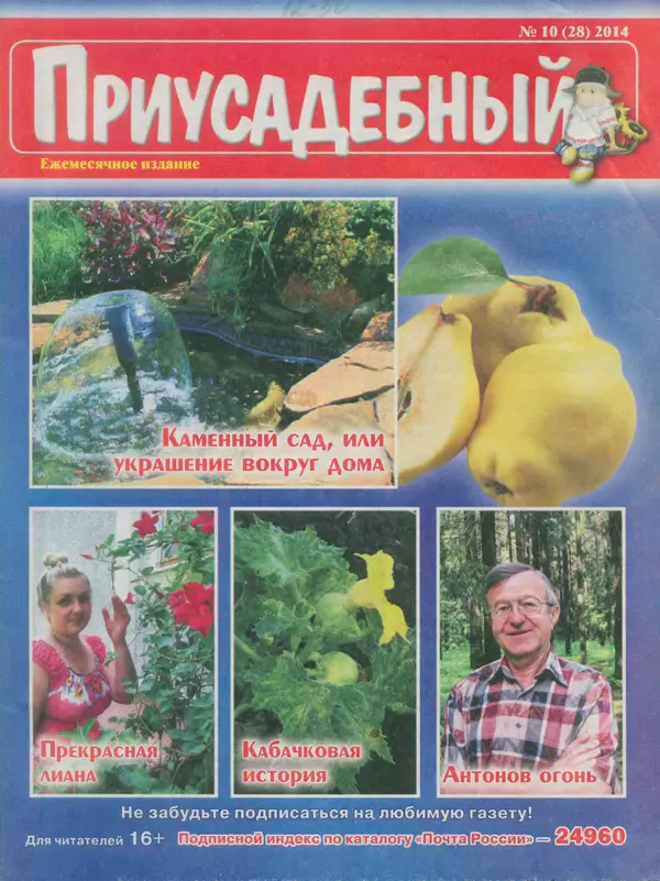 КулЛиб.   журнал Приусадебный - Приусадебный 2014 №10(28). Страница № 1