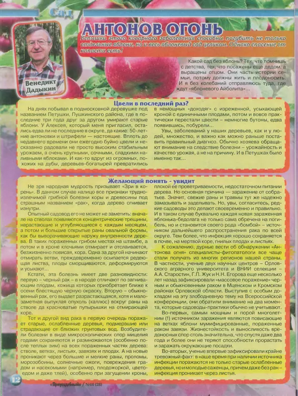 КулЛиб.   журнал Приусадебный - Приусадебный 2014 №10(28). Страница № 12