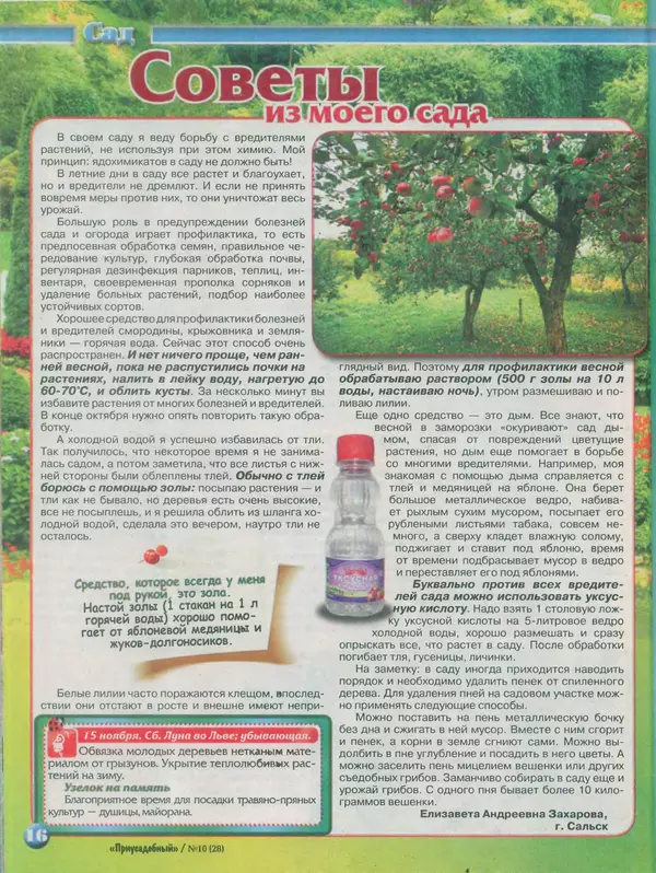 КулЛиб.   журнал Приусадебный - Приусадебный 2014 №10(28). Страница № 16