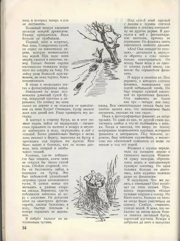 КулЛиб.   Журнал «Пионер» - Пионер, 1955 № 05. Страница № 38