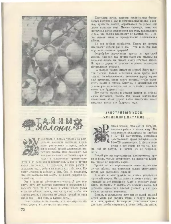 КулЛиб.   Журнал «Пионер» - Пионер, 1955 № 05. Страница № 78