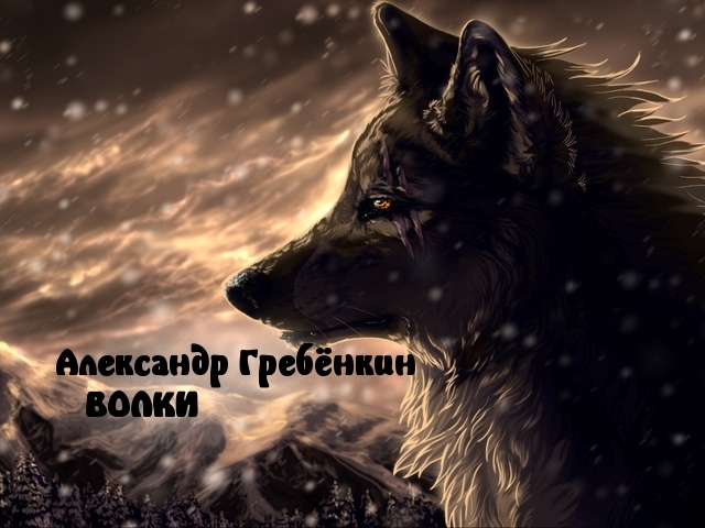 Волки (fb2)