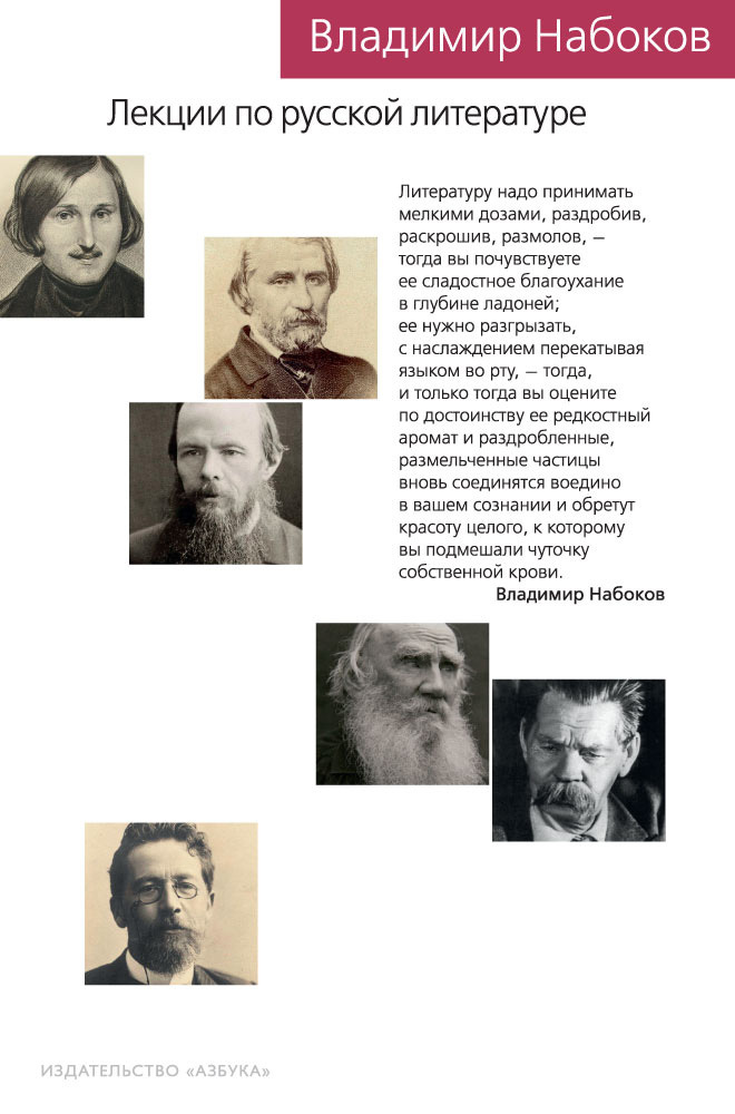 Лекции по русской литературе (fb2)