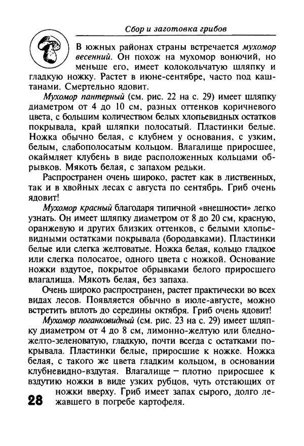 КулЛиб. И. В. Довбенко - Сбор и заготовка грибов. Страница № 28