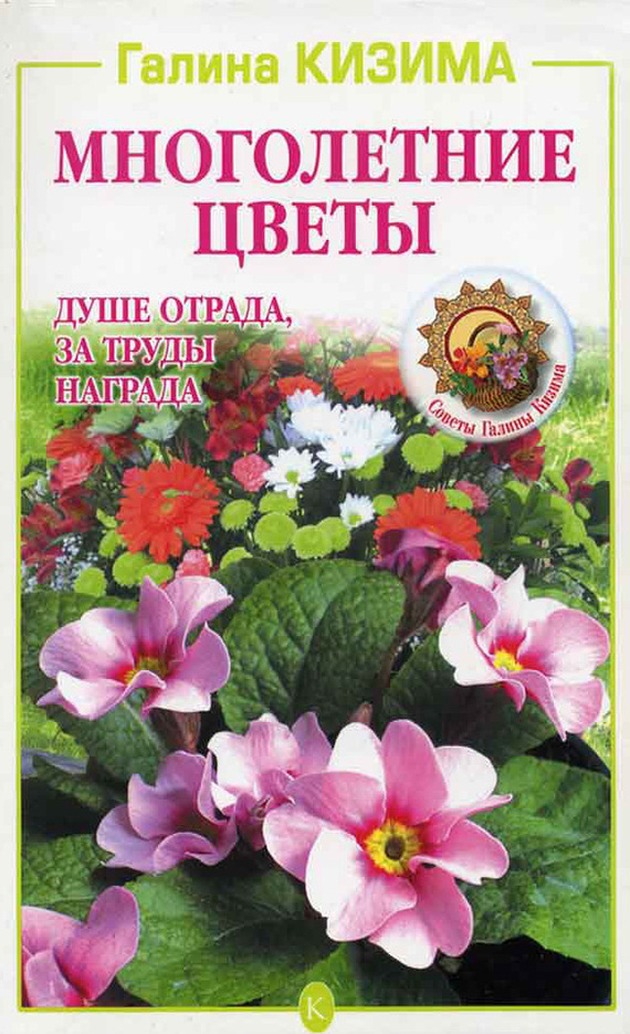 Многолетние цветы. Душе отрада, за труды награда (fb2)