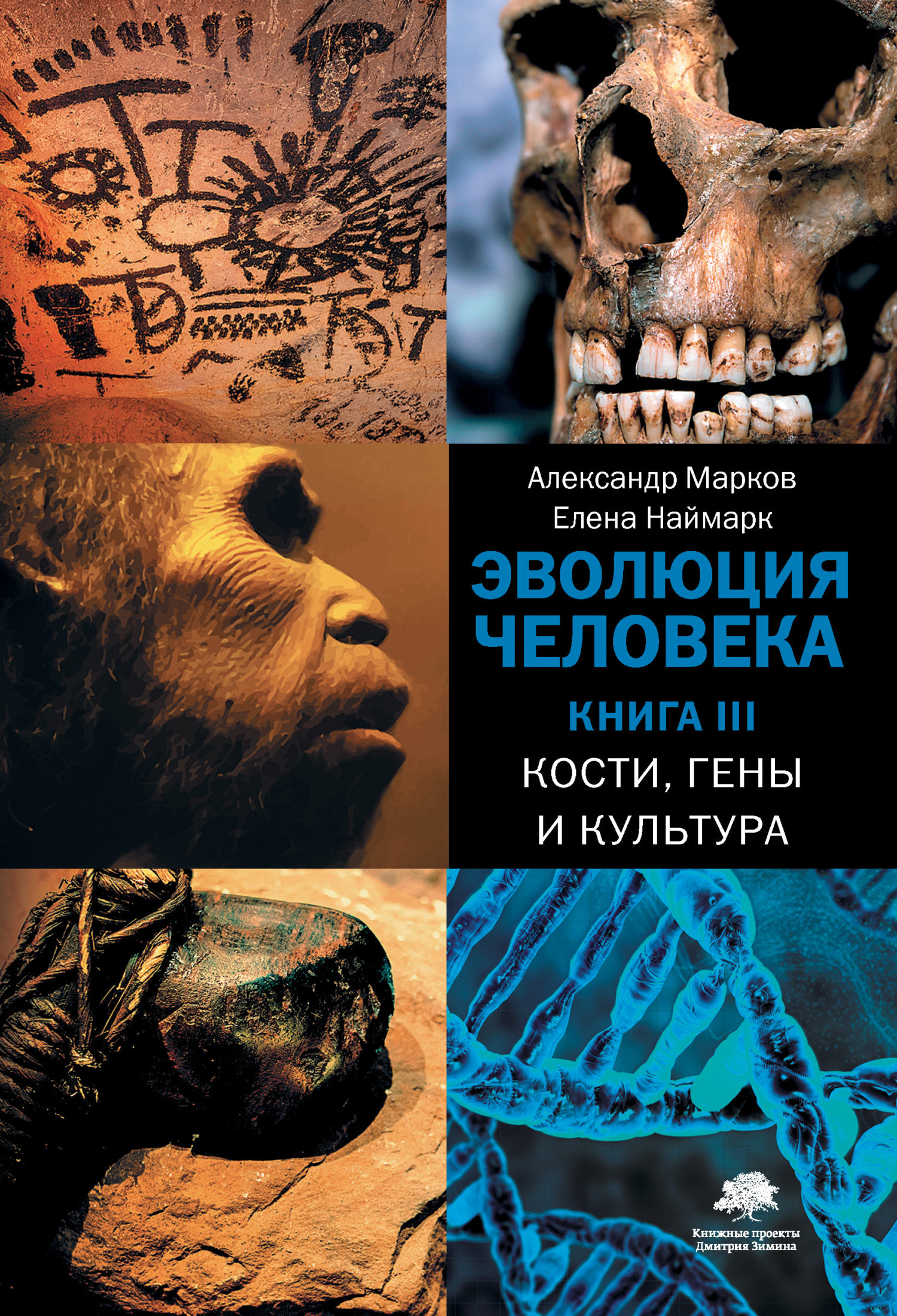 Эволюция человека. Книга 3. Кости, гены и культура (fb2)