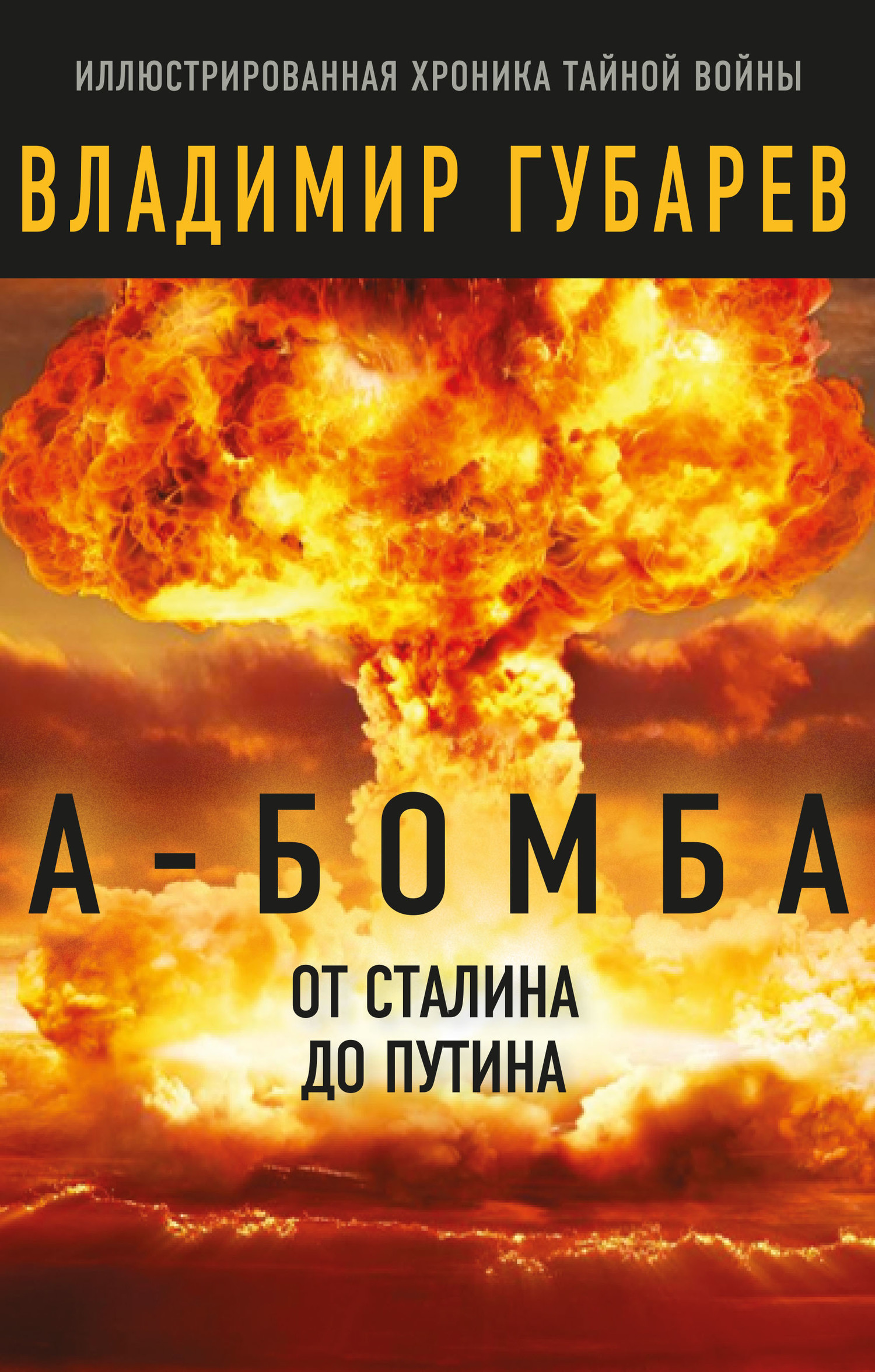 А-бомба. От Сталина до Путина (fb2)