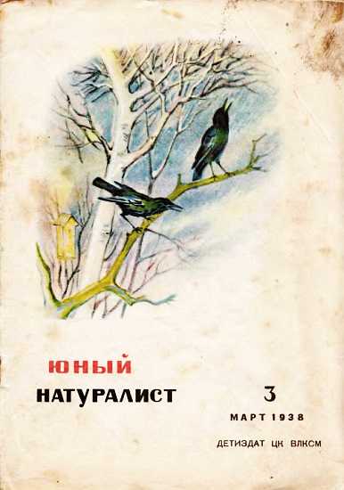 Юный натуралист 1938 №3 (fb2)