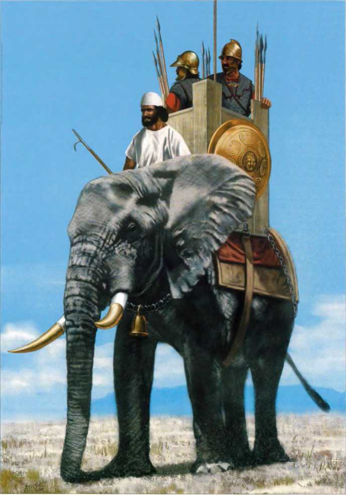 Боевые слоны эллинистического мира (первая треть IV - II вв. до н.э.). Аркадий Абакумов. Иллюстрация 51