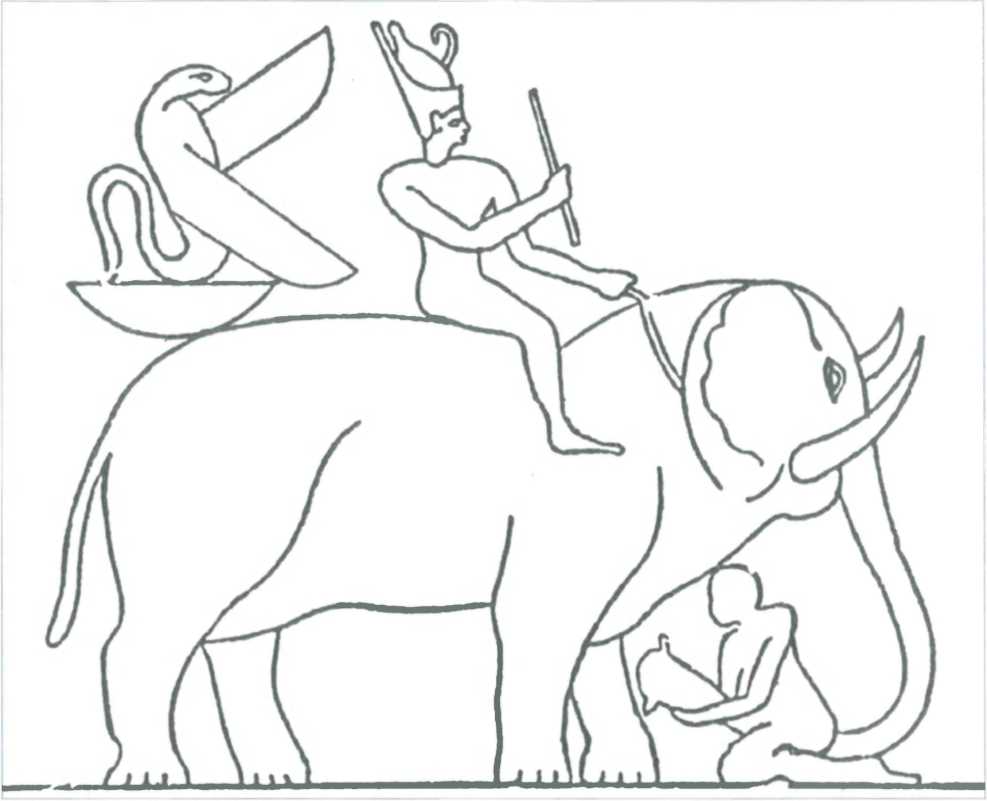 Боевые слоны эллинистического мира (первая треть IV - II вв. до н.э.). Аркадий Абакумов. Иллюстрация 37