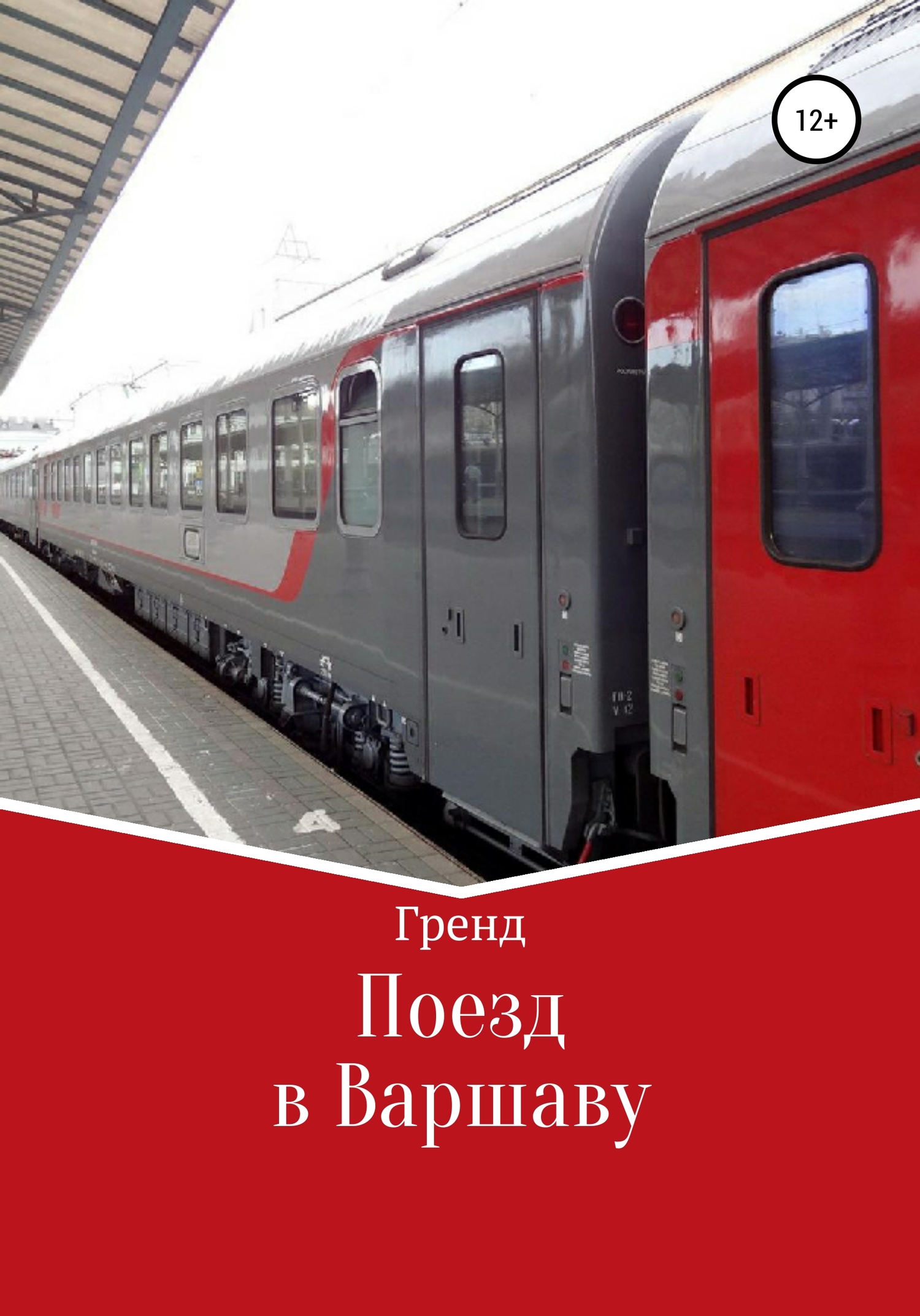 Поезд в Варшаву (fb2)