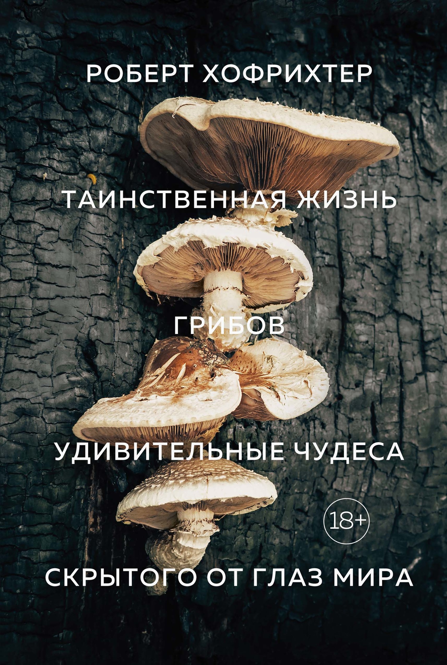 Таинственная жизнь грибов. Удивительные чудеса скрытого от глаз мира (fb2)