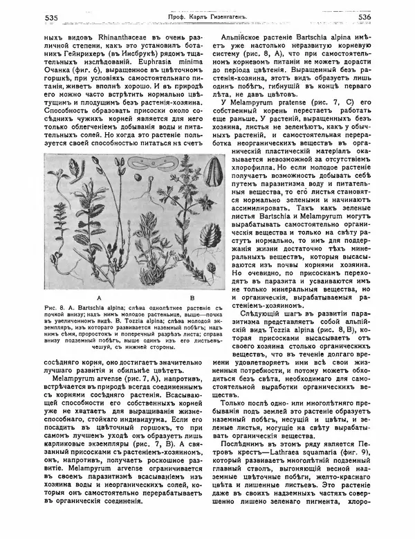 КулЛиб.   журнал Природа - Природа 1912 №04. Страница № 38