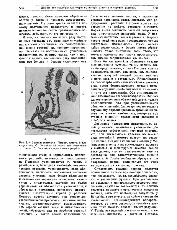 КулЛиб.   журнал Природа - Природа 1912 №04. Страница № 39