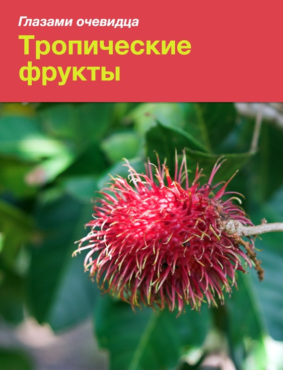 Тропические фрукты (fb2)