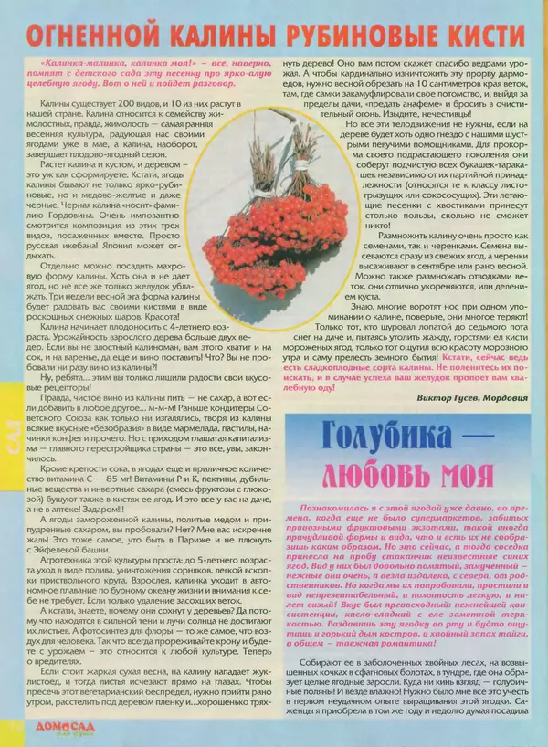 КулЛиб.   журнал Дом и сад для души - Дом и сад для души 2013 №04(64). Страница № 12
