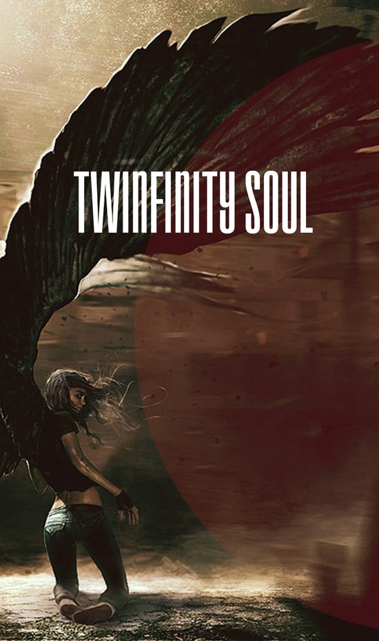 Twinfinity Soul (СИ) (fb2)