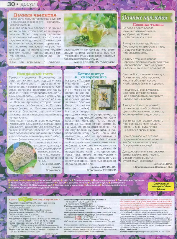 КулЛиб.   журнал Сваты на даче - Сваты на даче 2015 №4(04). Страница № 28