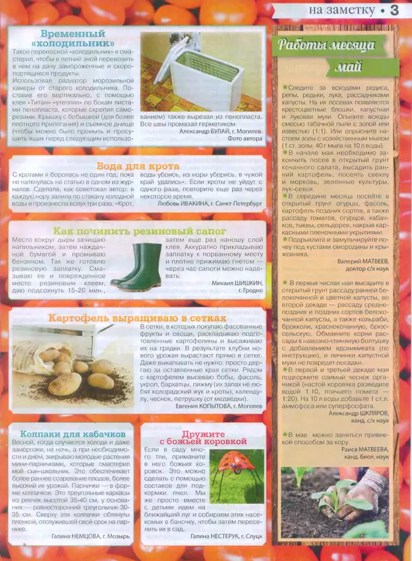 КулЛиб.   журнал Сваты на даче - Сваты на даче 2015 №4(04). Страница № 3