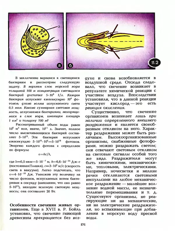 КулЛиб. Лев Васильевич Тарасов - Физика в природе. Страница № 171