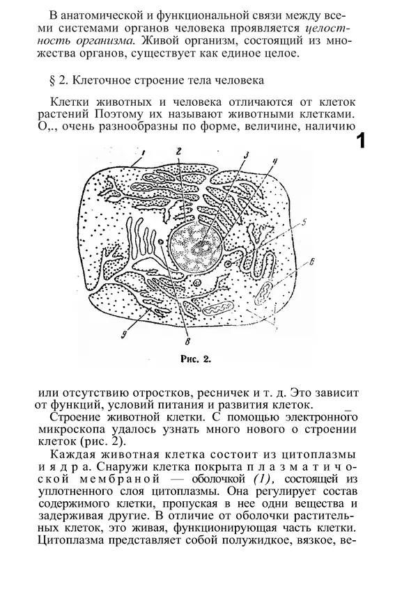 КулЛиб. М. С. Миловзорова - Анатомия и физиология человека. Страница № 10