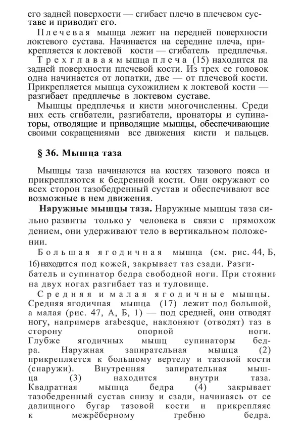 КулЛиб. М. С. Миловзорова - Анатомия и физиология человека. Страница № 117