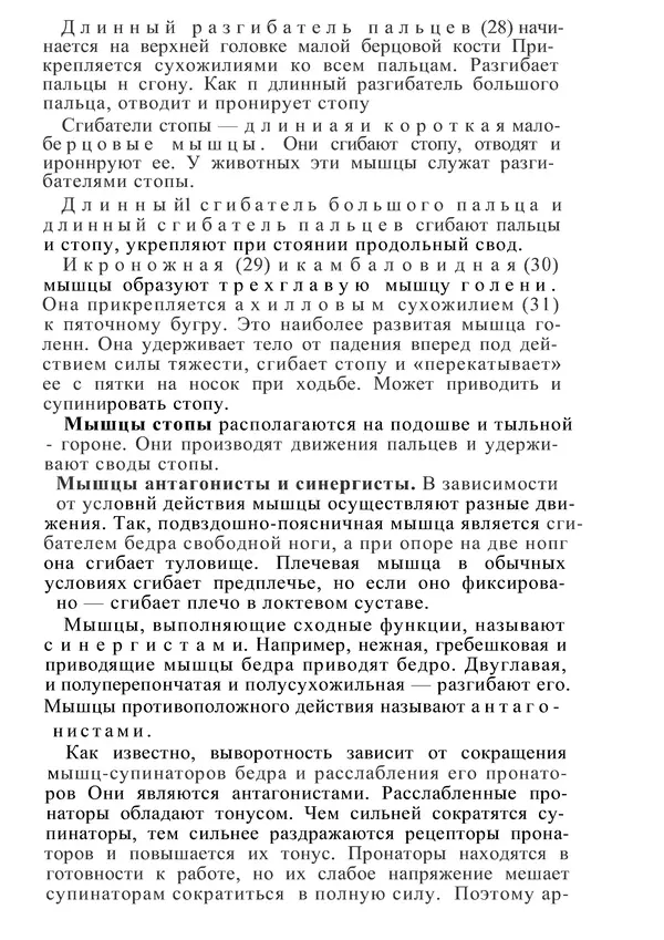 КулЛиб. М. С. Миловзорова - Анатомия и физиология человека. Страница № 120