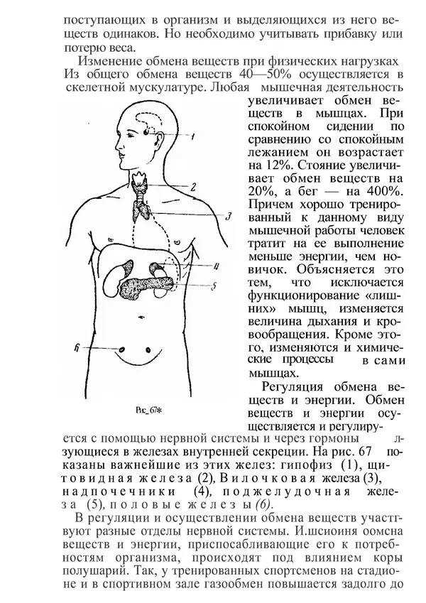 КулЛиб. М. С. Миловзорова - Анатомия и физиология человека. Страница № 196