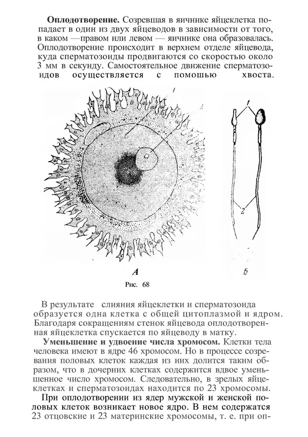 КулЛиб. М. С. Миловзорова - Анатомия и физиология человека. Страница № 206